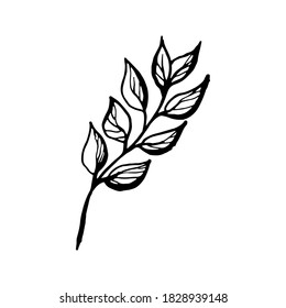 Wildflowers, herbs, leaves. Summer collection. Graphics,doodle. Vector illustration on an isolated white background.For decorating banner, spring holidays.Print, poster, card,packing