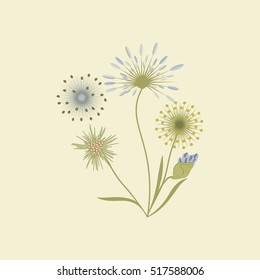 wildflowers isolated on a light background art creative vector element for design
