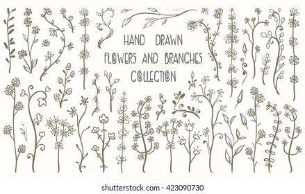 Wildflowers and leaves, Abstract Flowers, Floral frame, doodle Branches background, Handmade herbs collection, monochrome set. Hand drawn Vector illustration, decorative elements.