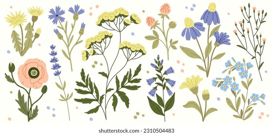 Wildflowers And Leaves Flat Illustrations Set. Spring Flowers Blossom. Cornflower, Poppy, Clover, Dandelion ?Eautiful Bouquet. Blooming Flowers Design Elements Vector Illustration