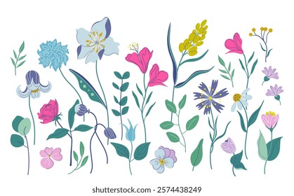 Wildflowers and leaves set. Beautiful collection of vibrant botanical elements. Hand drawn flat design vector illustration. 