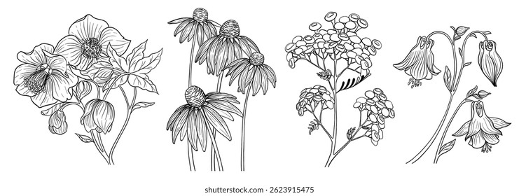 Wildflowers Line Art Collection – Hand Drawn Floral Elements. A beautiful set of black and white wildflower illustrations in minimalist line style. Perfect for wedding stationery, rustic branding, eco