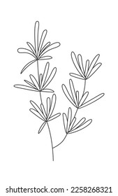 Wildflowers line art Contemporary floral design. Vector illustration