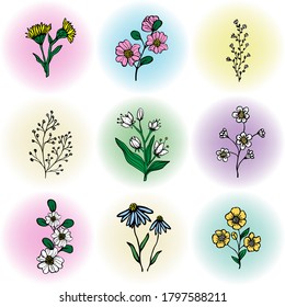 Wildflowers in multicolored blurred circles