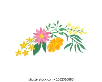 Wildflowers on white background. Nature and plants.