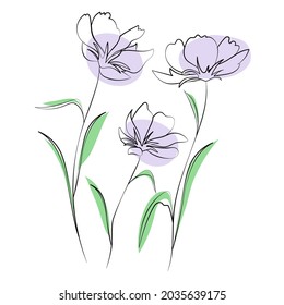 Wildflowers, outline floral design elements isolated on white background. Hand drawn flowers, buds and leaves.