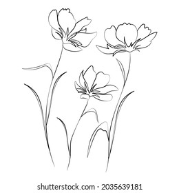 Wildflowers, outline floral design elements isolated on white background. Hand drawn flowers, buds and leaves.