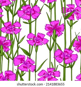 Wildflowers pattern, field carnation pink flower. Vector sketch of summer flowers