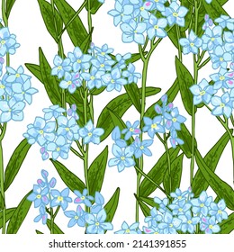Wildflowers pattern, forget-me-not blue flower. Vector sketch of summer flowers