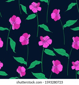 Wildflowers pattern seamless. Vector. Ornament vector. floral pattern. sketch flowers leaves seamless