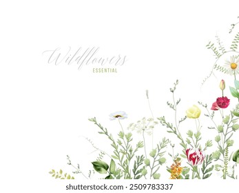 Marco de diseño de Vector de flores silvestres y plantas. Ramas de prado pintadas a mano, flores, hojas sobre fondo blanco. Invitación de boda verde. Tarjeta de estilo de acuarela. Los Elementos son aislados y editables