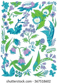 Wildflowers and plants. Vector hand drawn illustration, floral background.