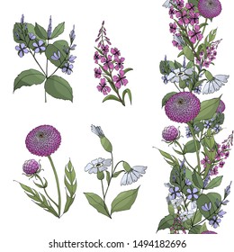 Wildflowers, seamless brush, isolated objects, vector