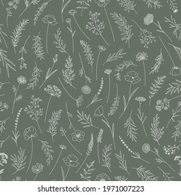 Wildflowers seamless pattern. Midsummer meadow herbs and flowers. Elegant floral print, thin line, trendy style design. Vector illustration, nature background for fabric, package, wrapping, prints.