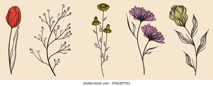 Flores silvestres de 5 piezas