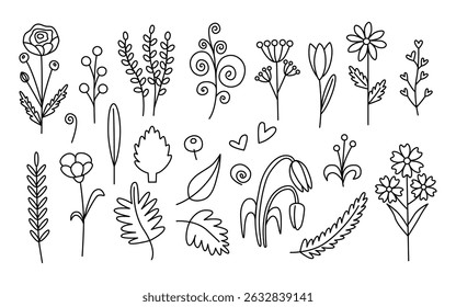 Wildflowers set in contour line style. Delicate vector flower arrangements for design or decor. An illustration for creating patterns and postcards.