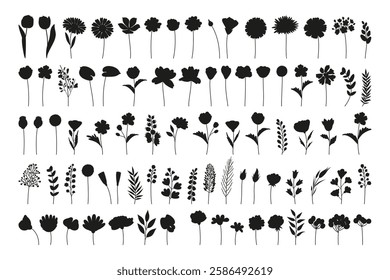 Wildflowers set, flowers black silhouettes. Meadow herbs and various botanical wild plants for design projects. Vector illustration