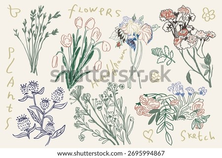 wildflowers set in hand drawn style in vector. Element for design advertisement mail posts poster print postcard banner decor backgrounds