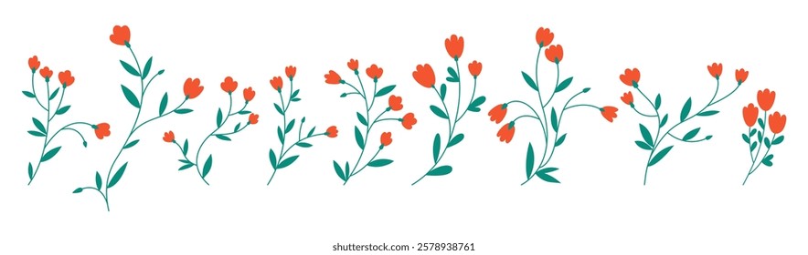 Wildflowers set. Hand drawn vector illustration. Set of elements for design and decoration.