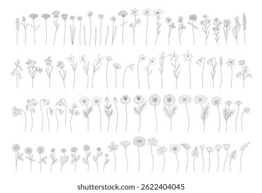 Wildflowers set in line art, contour, and minimal style. Hand drawn diverse meadow flowers, herbs, and wild plants. Botanical elements for design projects. Vector illustration