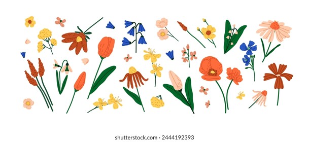 Wildflowers set. Summer meadow flowers. Blossom field plants. Wild flora: buttercup, tulip, poppy, carnation. Floral decoration, botanical decor. Flat isolated vector illustration on white background