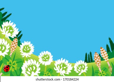 Wildflowers in Spring Meadow