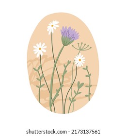 Wildflowers. Summer illustration, daisies. Design for your brand. Vector clip-art on isolated white background.