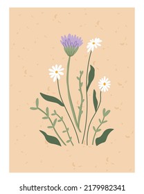 Wildflowers. Summer illustration, daisies. Design for your brand. Vector clipart on an isolated white background. Template for poster, postcard.