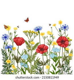 Wildflowers in summer. Wild herbs. Red poppies, cornflowers, forget-me-nots, yellow buttercups, ferns, butterflies, bees