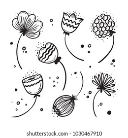 Wildflowers. Vector Floral Set. Hand drawn doodle Flowers. Black and White Scandinavian style