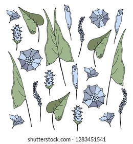 Wildflowers. Vector hand drawn  illustration. Isolated objects on white.Design element for logo, label, emblem, sign, poster, menu, t shirt
