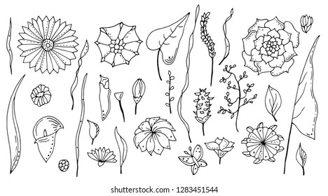 Wildflowers. Vector hand drawn  illustration. Isolated objects on white.Design element for logo, label, emblem, sign, poster, menu, t shirt
