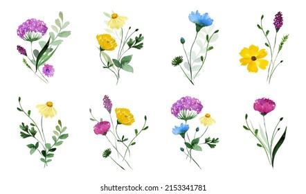 Wildflowers. Watercolor floral bouquet. Collection of wildflower bouquets.