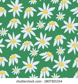 Wildflowers, white chamomile on a green background, seamless pattern. Botanical vector illustration.  For paper, covers, fabric, gift wrapping, wall painting, interior decor.