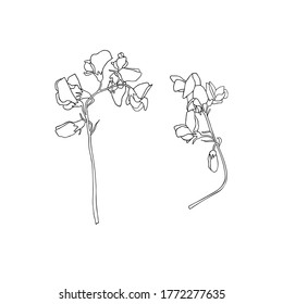 Wildflowers.Hand drawn vector Illustration.Line sketch.