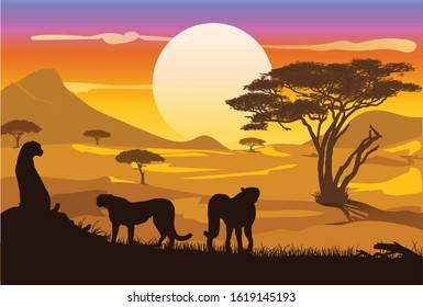 Wildlife of Africa, a family of cheetahs are watching prey in a savannah. Vector illustration isolated, eps