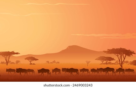 Wildlife of Africa, a Group of Wildebeests walking on Savanna at the Evening, vector illustration isolated, eps