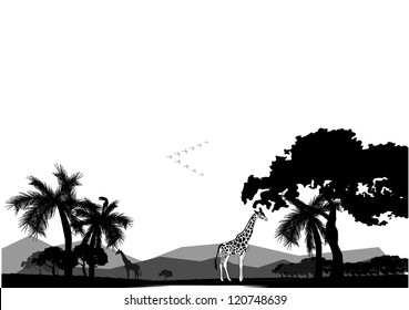 Wildlife Africa vector image