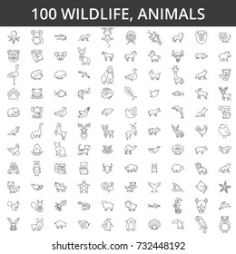 Wildlife african, sea, domestic, forest, zoo animals, cat, dog, wolf, fox, tiger, fish, bear, horse, dino, rhino, monkey line icons, signs. Illustration vector concept. Editable strokes