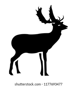 
Wildlife animal deer
