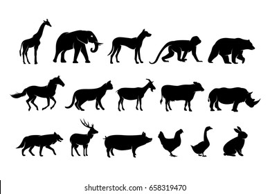 wildlife animal silhouette