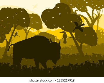 wildlife with animals background.