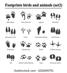 Wildlife animals and birds footprint, animal paw prints vector set. Footprints of variety of animals, illustration of black silhouette footprints.