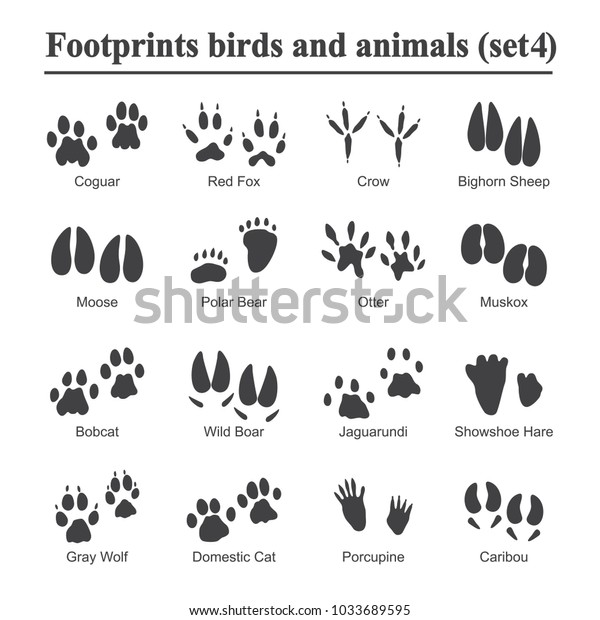 Wildlife animals and birds footprint, animal\
paw prints vector set. Footprints of variety of animals,\
illustration of black silhouette\
footprints.