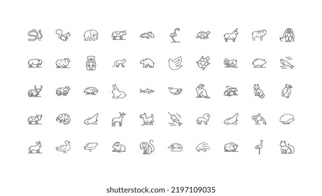 Wildlife animals concept illustration, linear icons, line signs set, vector collection