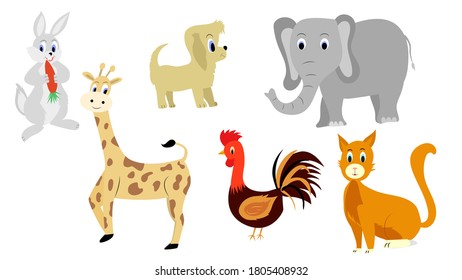 Wildlife Animals and Domestic Animals.