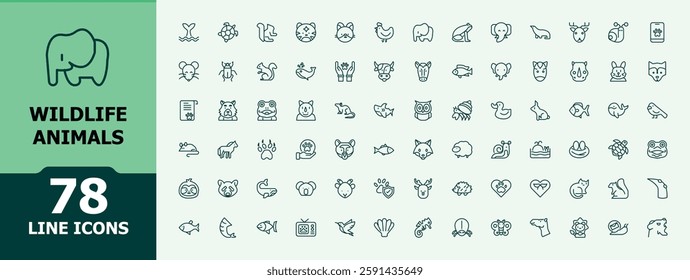 Wildlife Animals icon set. Containing bear, nature, flamingo, forest, giraffe and more. Line symbol. Minimalist editable vector stroke. UI icon set in a flat design.