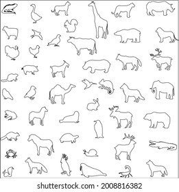 wildlife Animals outline collection set