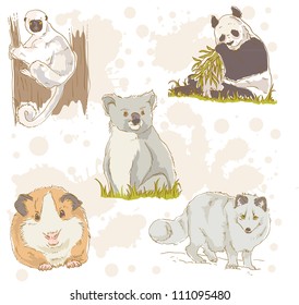 Wildlife animals retro drawing collection