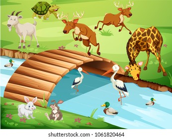 Wildlife in a Beautiful Nature illustration